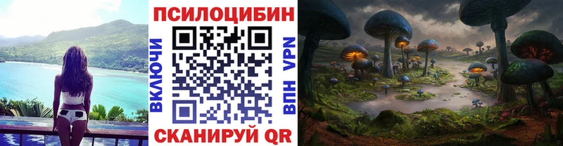 Псилоцибиновые грибы Cubensis  Спасск 