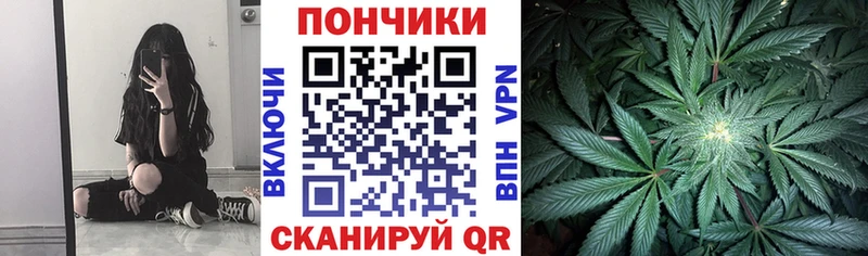 Каннабис ГИДРОПОН Спасск